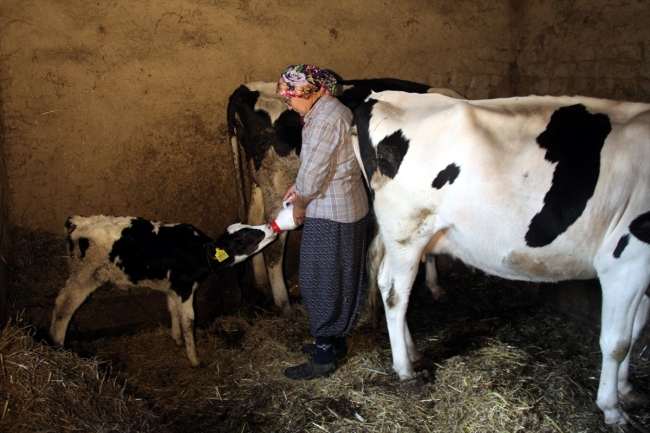 Kırklareli'nin kadın çiftçisi başarılarıyla takdir topluyor